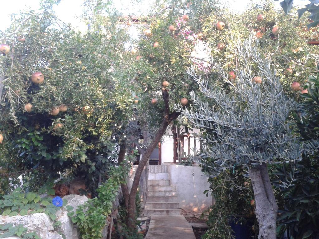 Cennet Pansiyon Hotel Kaleucagiz Exterior photo