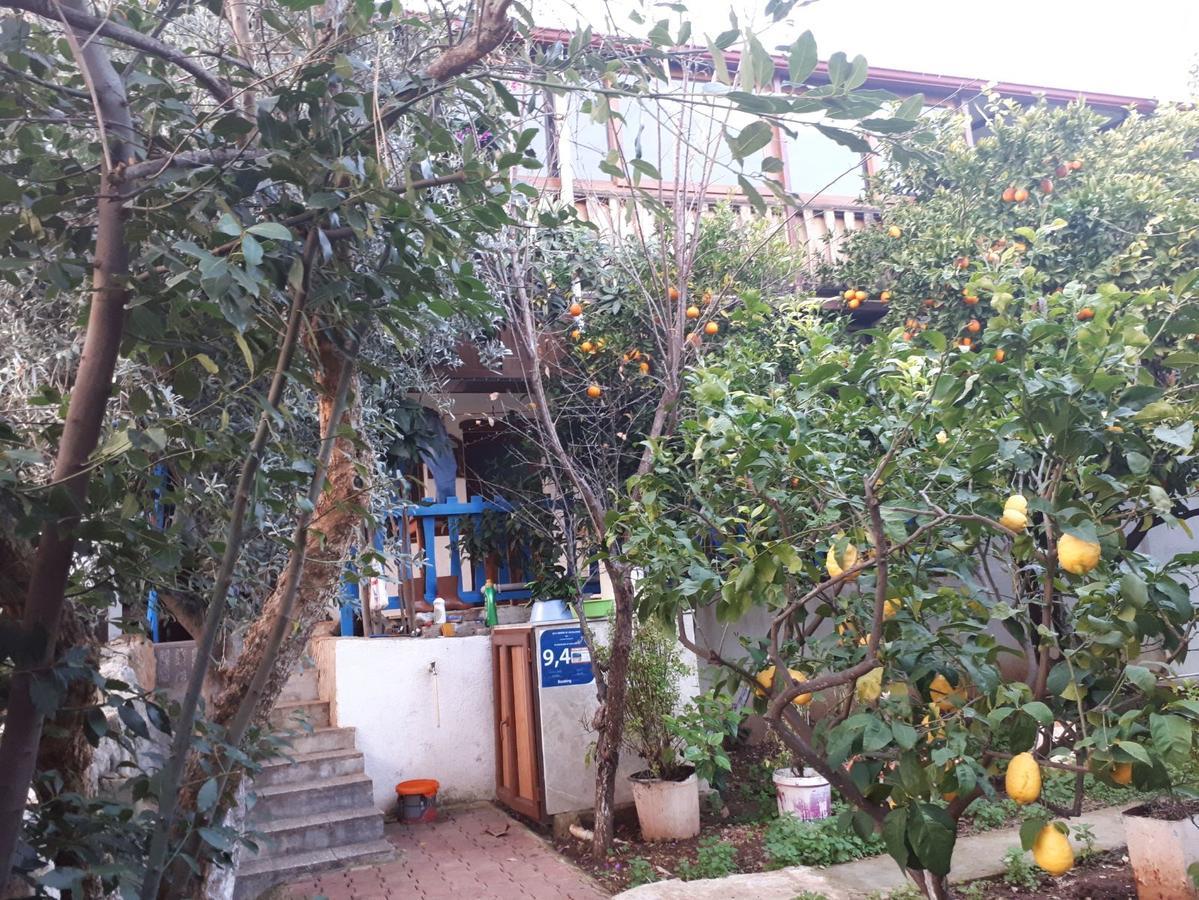 Cennet Pansiyon Hotel Kaleucagiz Exterior photo